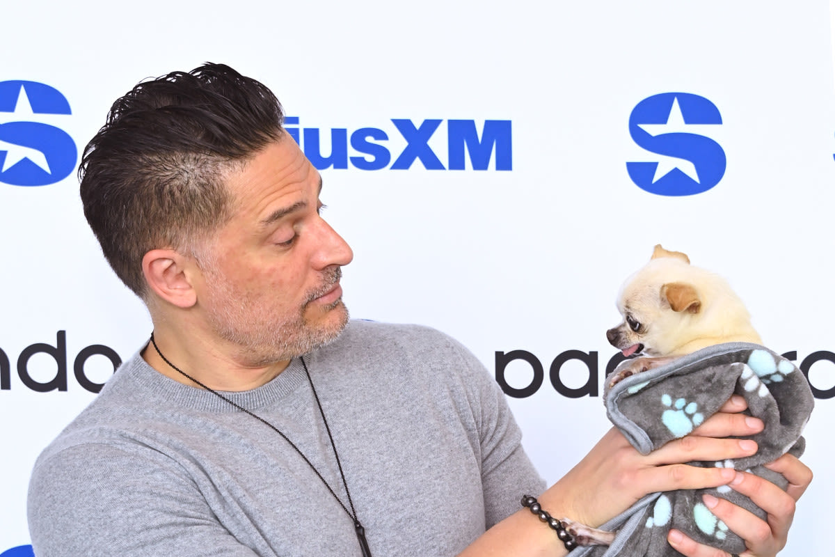 Joe Manganiello Wishes Happy Birthday to His Precious Rescue Chihuahua in Adorable Post