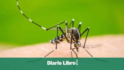 Brasil supera los cinco millones de casos de dengue, una cifra récord desde que hay registros