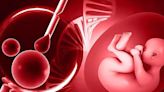 Advancements and Tech in the current world of Embryology - ET HealthWorld