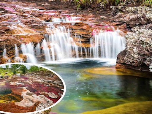 El ÚNICO río de arcoíris en Sudamérica: lo consideran el más bello del mundo