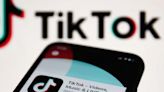 European Commission bans TikTok from employees' phones, citing cybersecurity threat