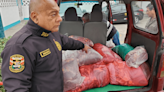 Capturan a comerciantes que pretendían vender 350 kilos de carne de caballo en Puente Piedra