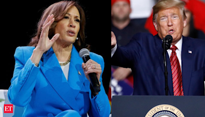 US Presidential Election 2024: Kamala Harris faces opposition; who else may challenge her nomination?