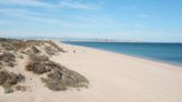 Un vertido contaminante llega a las playas del Saler y a Arbre del Gos en Valencia y obliga a izar la bandera roja