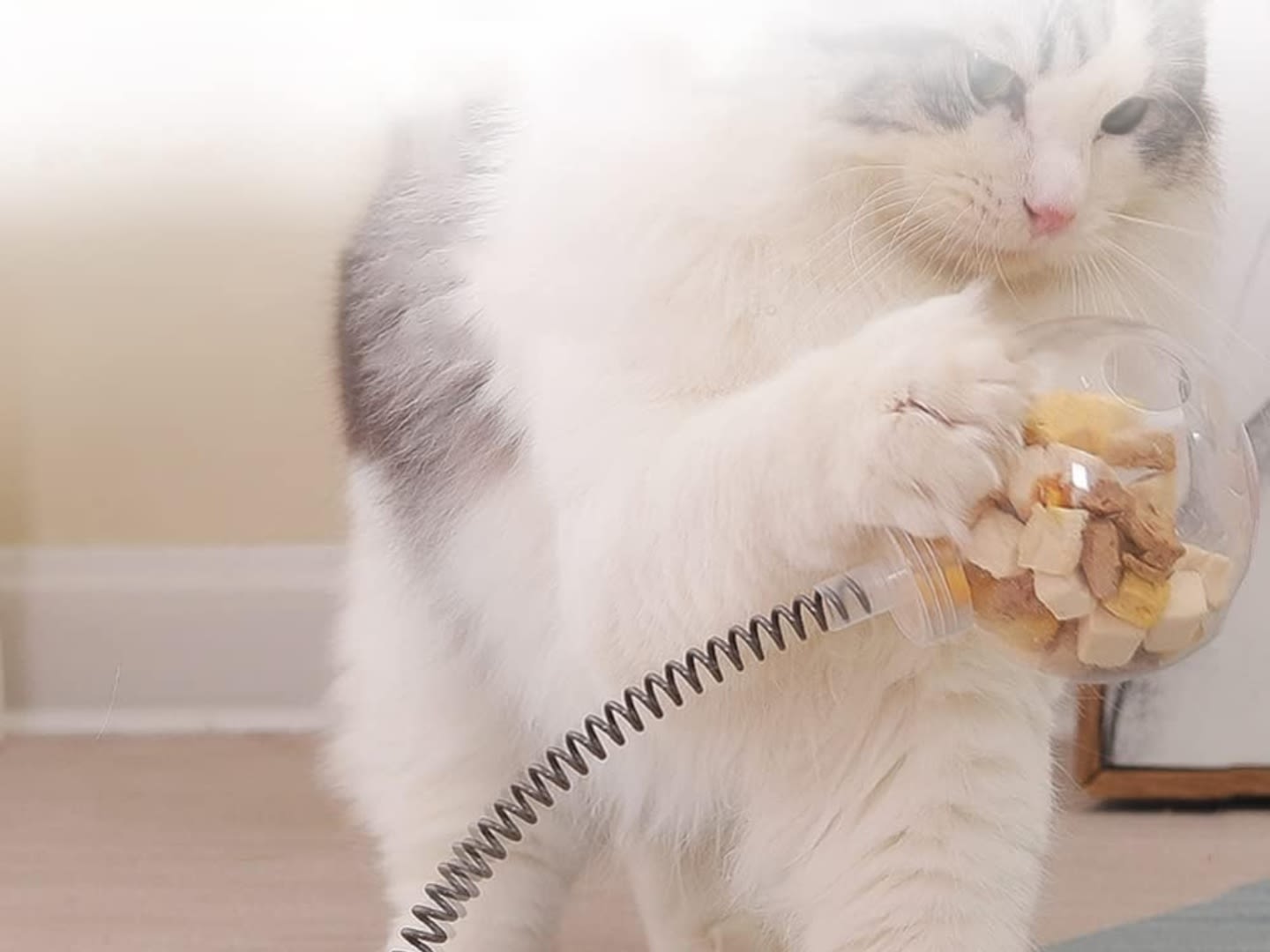 Pet Parents Say Their ‘Food Driven Cats’ Are ‘Obsessed’ With This Treat Dispensing Cat Toy