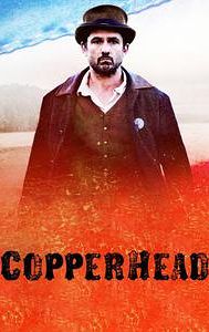 Copperhead (2013 film)