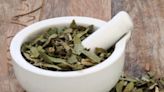 Cómo secar las hojas de té en casa y qué hacer con ellas