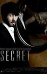 Secret (2009 film)