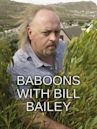 Baboons with Bill Bailey