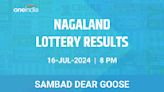 Nagaland Sambad Lottery Dear Goose Tuesday Winners July 16, 8 PM - Check Results