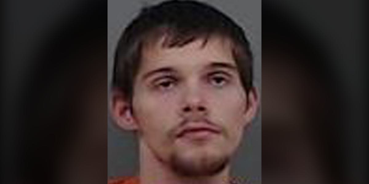 Police: Cedar Rapids man entered homes, garages, stole vehicle, led police on chase