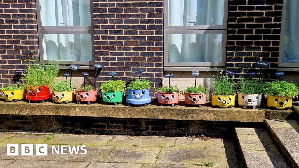 Cambridge Uni's Henry herb garden created from discarded vacuums