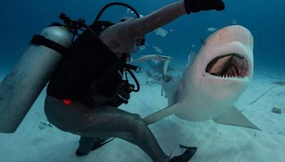 Pescadores de Isla Mujeres incursionarán en el nado con tiburones