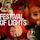 Festival of Lights (film)