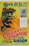 The Calgary Stampede