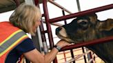 Behind the lines of red-hot wildfires, volunteers save animals with a warm heart and a cool head