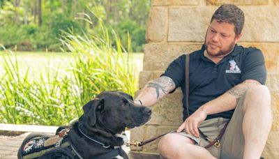 Service dogs can reduce the severity of PTSD for veterans – new research