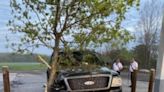 Drunken driver leaves crash scene with tree embedded in truck