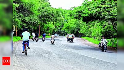 Bardan Phata becoming accident blackspot in Nashik | Nashik News - Times of India