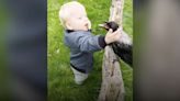 Have You Seen This? Russell the crow forms unique friendship with 2-year-old boy
