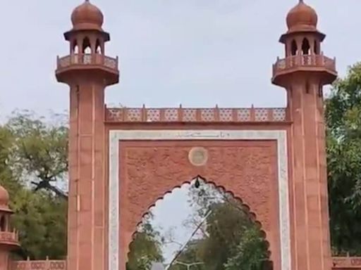 Aligarh Muslim University Introduces 126 Self-financed Courses Across Multiple Streams - News18