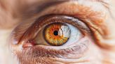 Antioxidants Slow Vision Loss in Late-Stage Dry AMD - Neuroscience News