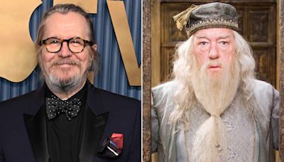 Gary Oldman Says He Could Play Dumbledore in “Harry Potter” TV Series After Sirius Black 'Wasn't in It Enough'