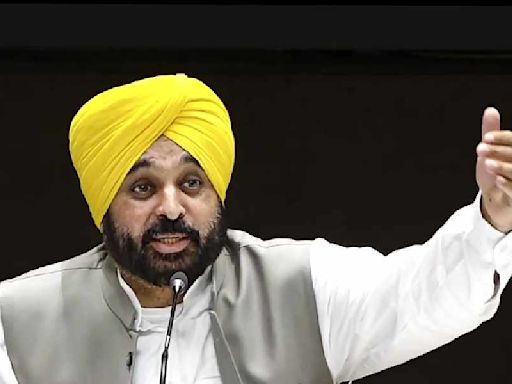 Punjab: Jalandhar West Assembly bypoll test awaits AAP chief minister Bhagwant Mann