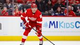 Detroit Red Wings' depth makes you think they can not just make playoffs, but make noise