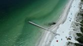 Why are dead fish in the water? What’s in your throat? How red tide hits Florida beaches