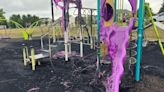 Teens accused of setting fire to public playground in Frederick Co., causing $230K damages