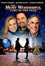 The Most Wonderful Time of the Year (film)