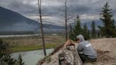 Animals, like those in Jasper, know how to dodge wildfires, say biologists