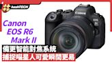 Canon EOS R6 Mark II備更智能對焦系統 捕捉喵星人可愛瞬間更易