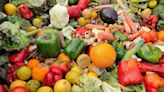 Ireland’s food waste equivalent to over one million meals per day, new figures show