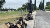 Somebody keeps setting fire to trees in Fresno’s Armenian cemetery. Is it a hate crime?