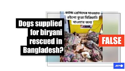 Video of dog rescue in India falsely shared as canines 'saved from Dhaka biryani outlets'