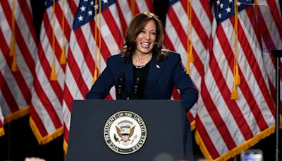 "Donald Trump Wants To Take Our Country Backward": Kamala Harris At Debut Rally