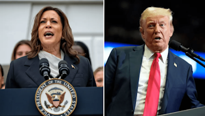 Harris campaign to make race against Trump a 'cop vs crook' fight for democracy