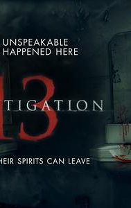 Investigation 13