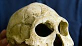 A frigid apocalypse doomed early humans in Europe