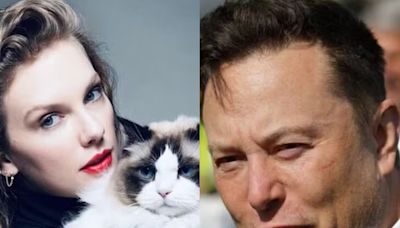 Taylor Swift é alvo de comentário machista de Elon Musk após declarar apoio a Kamala como 'solteirona dos gatos'; entenda