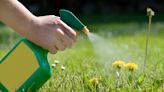 Is it OK to use weedkiller in your garden?