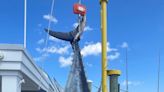 After 4-hour fight, 2 fishermen land 718-pound giant bluefin tuna off New Jersey coast