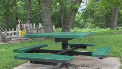 Ann Arbor moves forward with $19 million plan to make parks more accessible