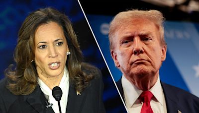 Polling guru Nate Silver reveals he's voting for Kamala Harris