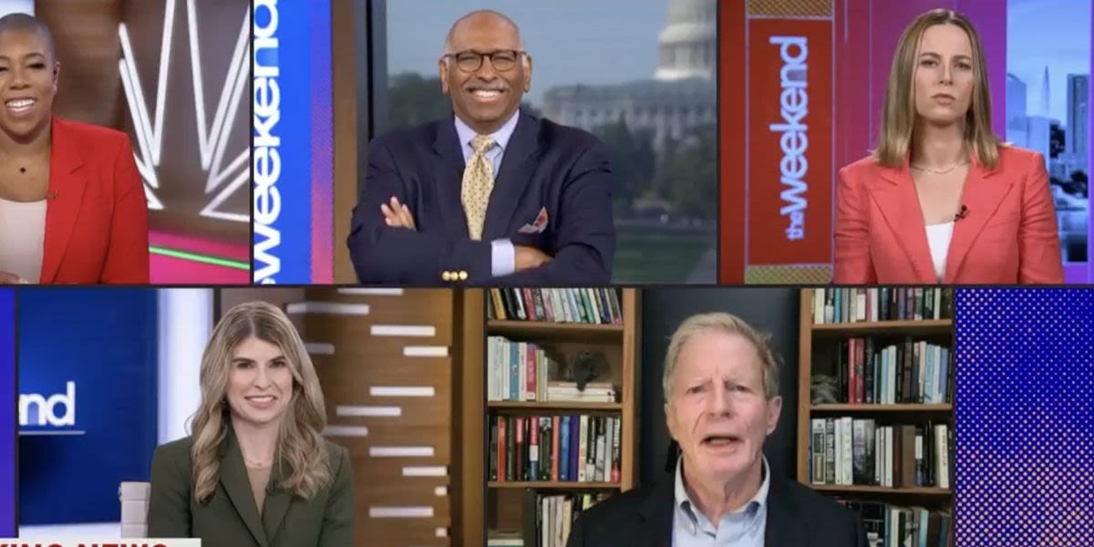 Watch: Michael Steele busts out laughing as strategist explains Trump's new voter problem