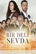 Bir Deli Sevda