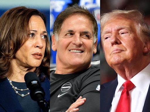 Mark Cuban says the 2024 election is coming down to Ivy League insiders versus outsiders