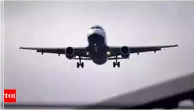 First-time flyer in China causes chaos after opening emergency exit accidently - Times of India